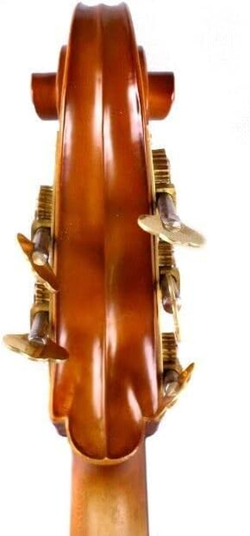 5 String Cello 4/4 Hand Made Cello Maple Spruce Ebony Cello Fittings Metal Cello Pegs with Cello Bag Bow
