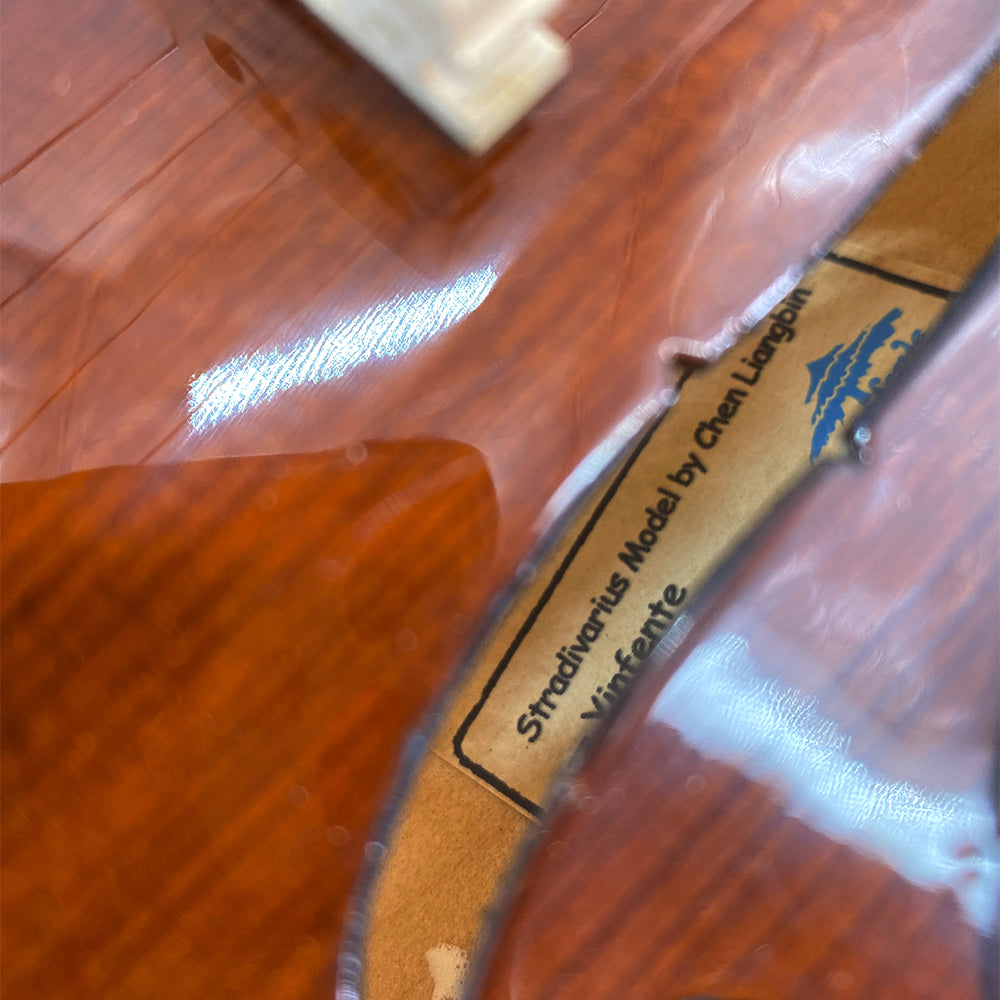 Violin 4/4 Full Set for Beginners, Adults, Students, Aged Spruce Maple Solid Wood Fiddle, Ebony Fittings with Hard Case, Shoulder Rest, Bow, Extra Strings (Dark Brown, 4/4 Full Size)