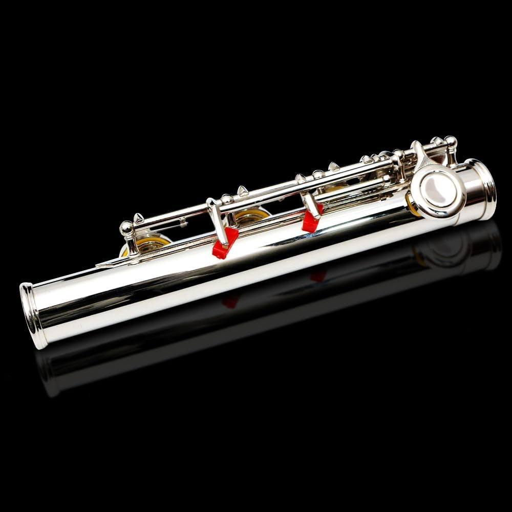 Flute 17 Key Closed Hole C Flute for Beginner Cleaning Kit with Gloves Cloth Tuning Rod Hard Case Nickel Siver, 17 Key Flute Instrument Student Flutes(Closed Hole,Silver)