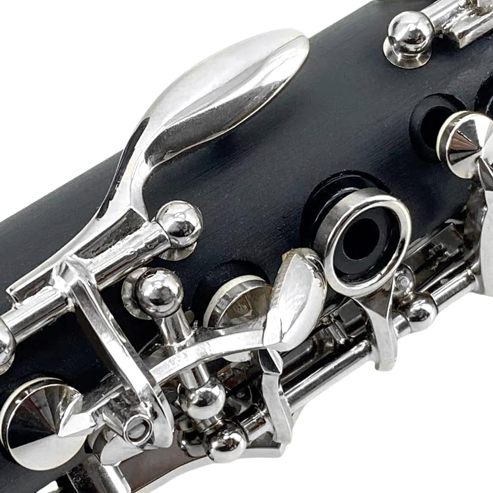 Professional Ebonite Clarinete C Key Clarinet for Beginner Students with 2 Barrels Hard Case Cleaning Kit Mouthpice Cork Grease Gloves