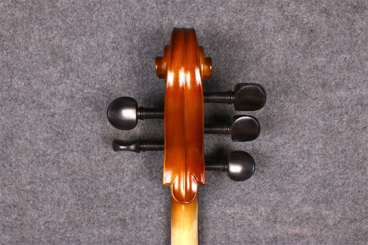 4/4 5 String Cello Acoustic Model Full Size Spruce Maple Wood Free Cello Bow Bag Sweet Sound