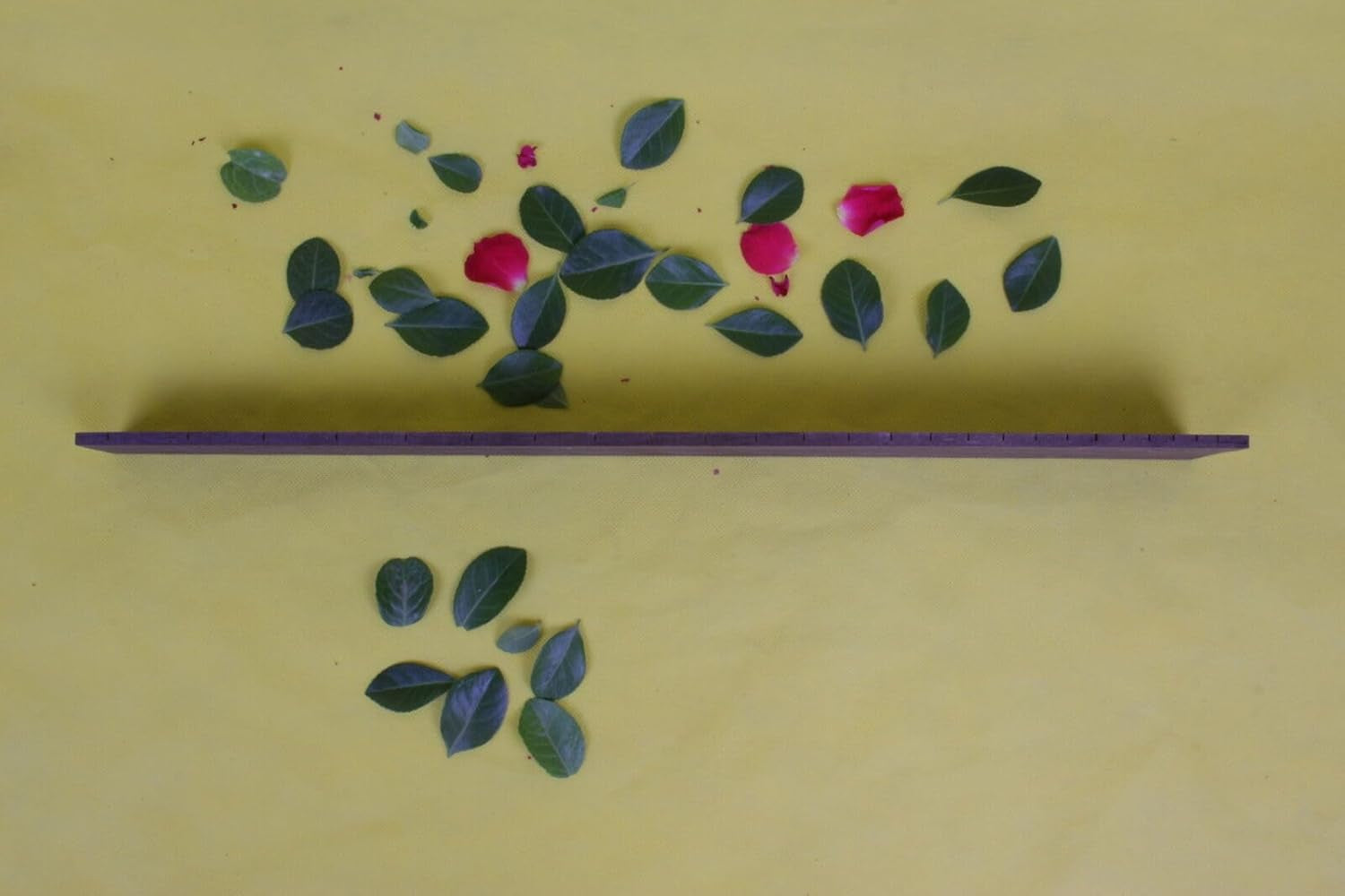 22 Fret Electric Guitar Fingerboard 24.75 Inch Rosewood Fretboard for Guitar Replacement Parts Chromatic Trapezoid Inlay DIY with Binding(Color)