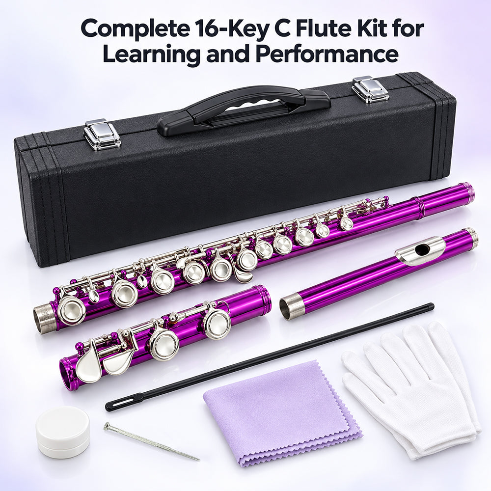 Yinfente 16 Hole C Flute with Gloves, Cleaning Rod, Case, Cleaning Clothe - Nickel Silver Body, Closed Hole, for Student and Beginner
