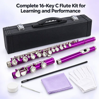 Yinfente 16 Hole C Flute with Gloves, Cleaning Rod, Case, Cleaning Clothe - Nickel Silver Body, Closed Hole, for Student and Beginner
