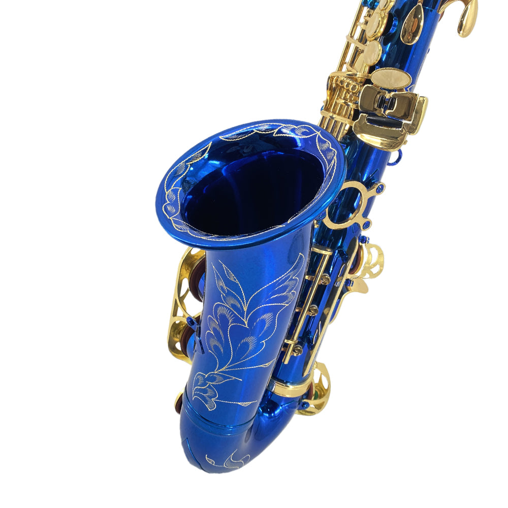 Yinfente Alto Saxophone E Flat Blue Complete Starter Kit Beginner with Case & 10 Reeds, for Adults & Students, Easy to Play for School Band & Practice