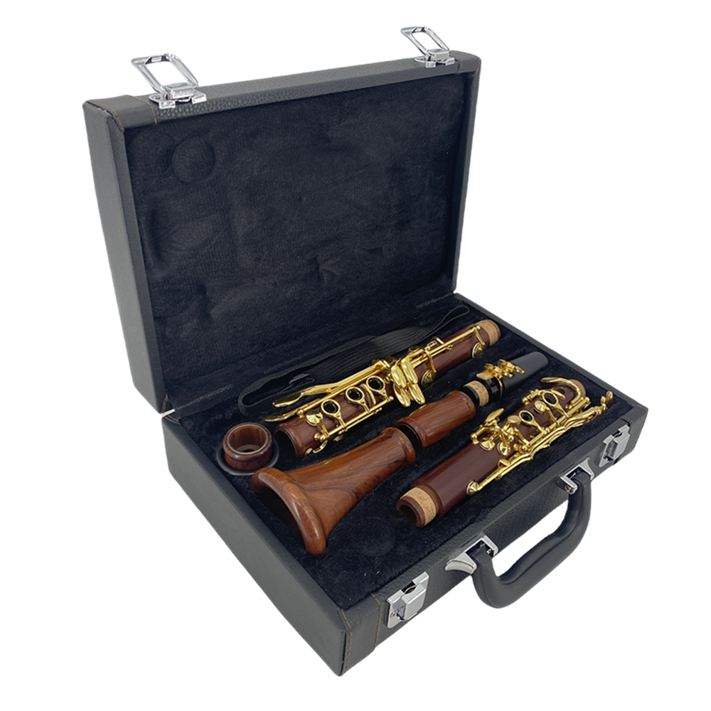 Bb Clarinet for Beginner 17 Key Gold-Plated Rosewood B Flat Clarinet with 2 Barrels,Hard Case,Cleaning Kit,Mouthpiece,Cork Grease,Gloves,Reeds,Cushion
