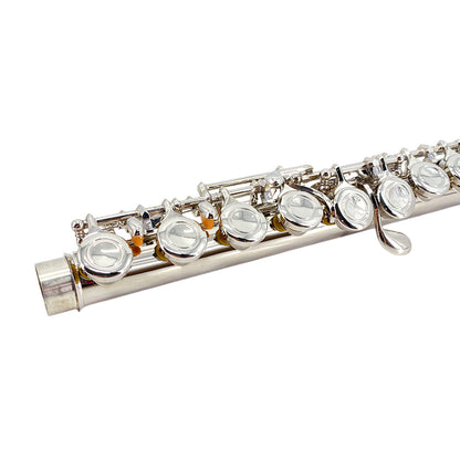 Yinfente 16 Hole C Flute with Gloves, Cleaning Rod, Case, Tuning Key and Extra Reeds - Nickel Silver Body, Closed Hole, for Student and Beginner