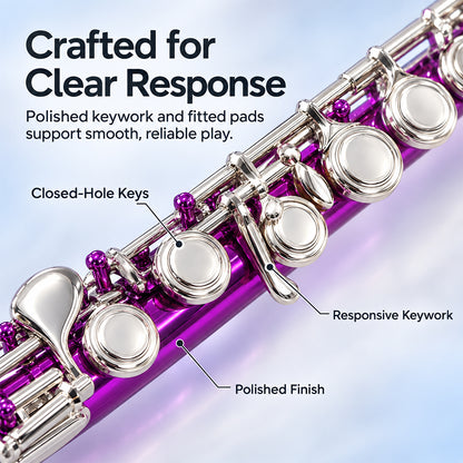 Yinfente 16 Hole C Flute with Gloves, Cleaning Rod, Case, Cleaning Clothe - Nickel Silver Body, Closed Hole, for Student and Beginner