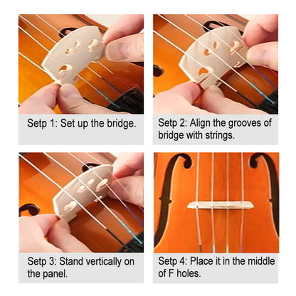 5 String Acoustic Violin 4/4 Kit Maple Back Spruce Top Ebony Fittings Fine Tuner Handmade Violin with Case,Bow (5 String,Brown)