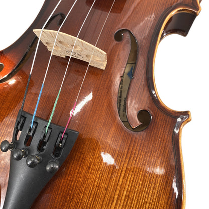 Violin 4/4 Full Set for Beginners, Adults, Students, Aged Spruce Maple Solid Wood Fiddle, Ebony Fittings with Hard Case, Shoulder Rest, Bow, Extra Strings (Dark Brown, 4/4 Full Size)