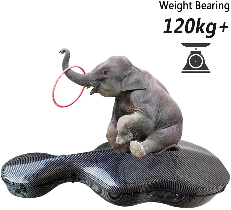 Cello Case 4/4 Carbon Fiber Box Full Size Shell Strong Light 3.7 Kg Cello Accessories (Black-L)