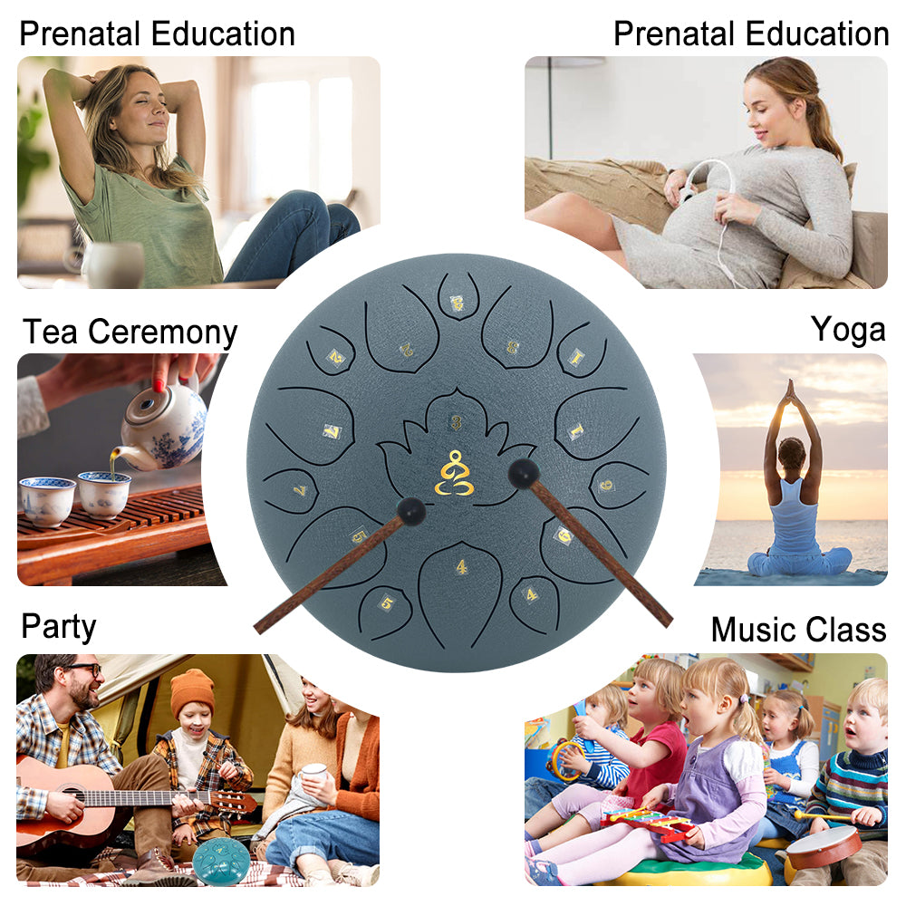 Rain Drum for Outside Garden,13 Inches 15 Notes Steel Tongue Drum with Mallets & Carry Bag Musical Instrument for Adults D Major