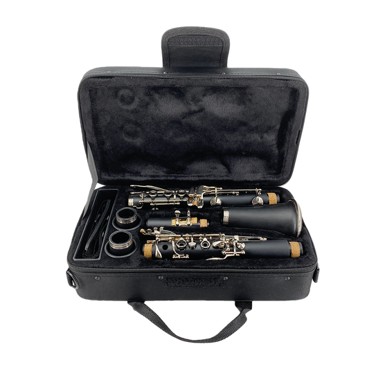 Professional Clarinet Case for B Flat Oxford Cloth 600D Bb Clarinet Storage Bag with Thick Foam Padded and Adjustable Strap
