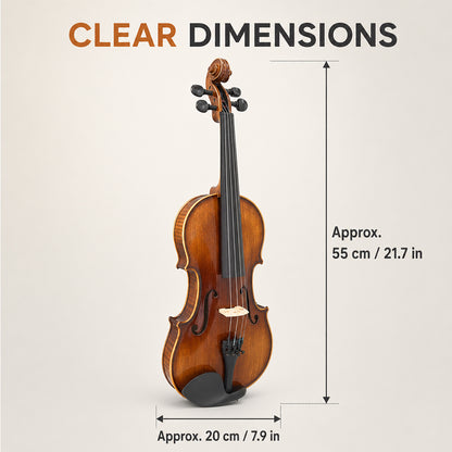 Violin 4/4 Full Set Violin for Beginners & Adults Solid Wood Fiddle with Hard Case Bow Shoulder Rest Strings Flame Maple Spruce Wood