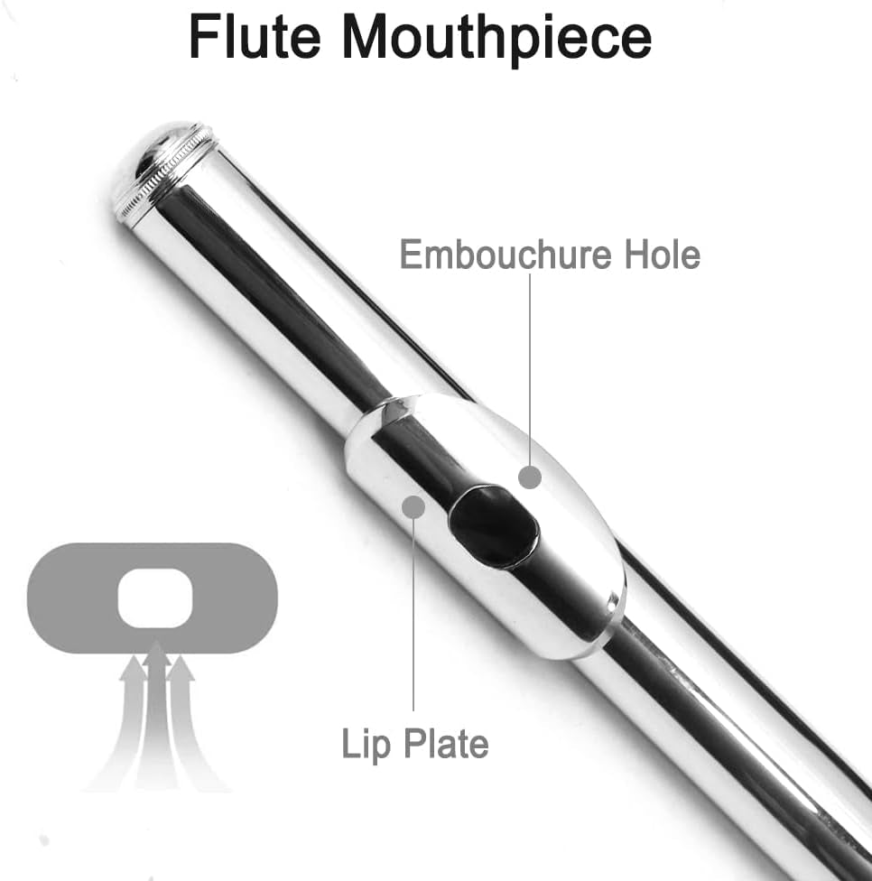 Flute 17 Key Closed Hole C Flute for Beginner Cleaning Kit with Gloves Cloth Tuning Rod Hard Case Nickel Siver, 17 Key Flute Instrument Student Flutes(Closed Hole,Silver)