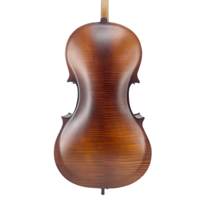 Yinfente 1/4 Cello for Beginner Student and Adult 4-String Acoustic Cello kit with Brazilwood Bow Soft Bag Rosin and Bridge