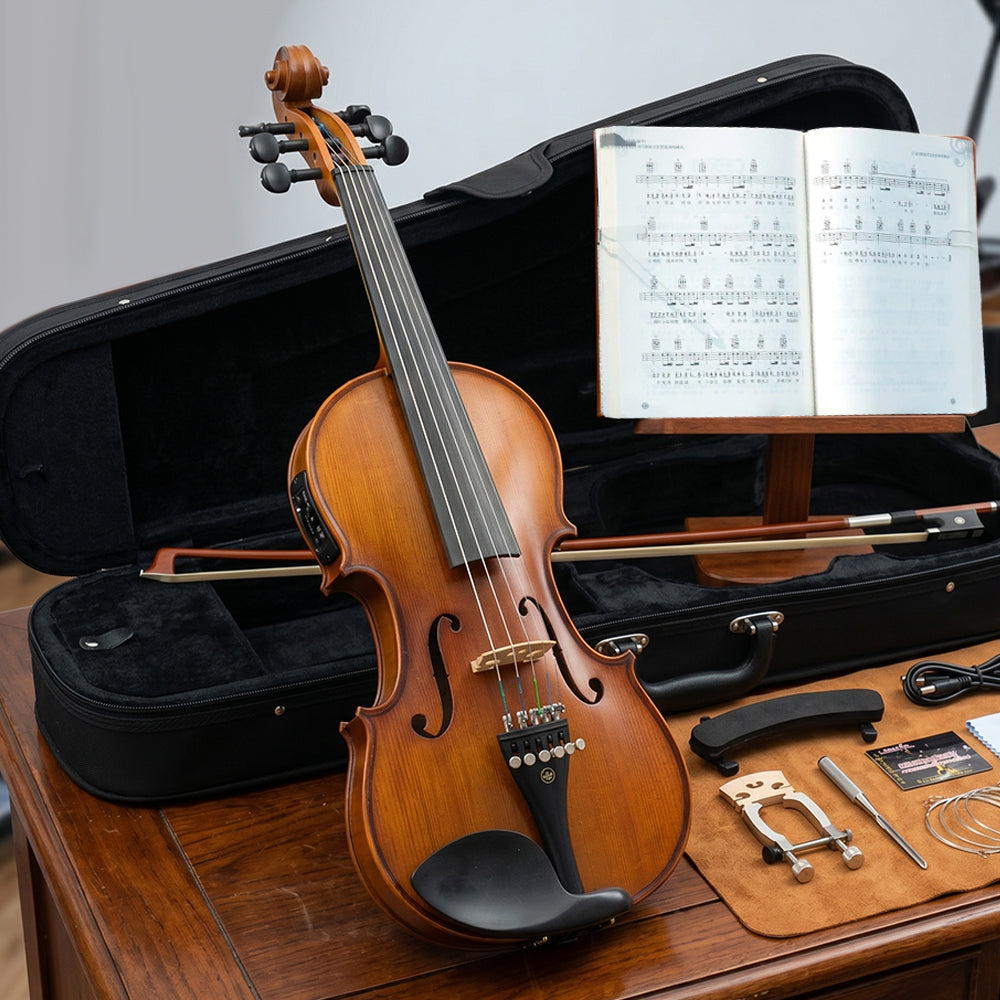Yinfente 6 String Violin 4/4 Full Size Violin Hand Made Maple Spruce Wood Ebony Violin Fittings with Violin Case Bow