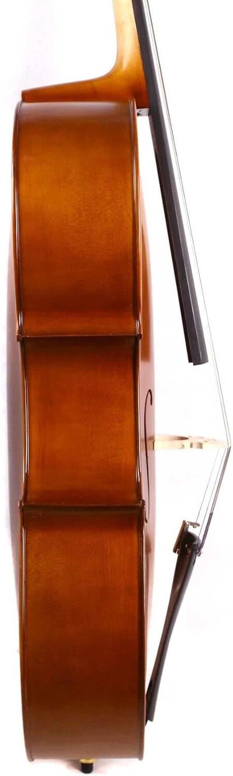 5 String Cello 4/4 Hand Made Cello Maple Spruce Ebony Cello Fittings Metal Cello Pegs with Cello Bag Bow