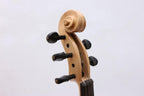 New 5String Electric Violin 4/4 Full Size Violin Guitar Shape Solid Wood Ebony Wood Violin Fittings Big Jack Free Violin Case Bow Clear Coat