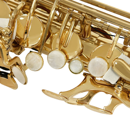 Yinfente Alto Saxophone Beginner Kit for Eb Gold Brass with Case, Reeds, Mouthpiece & Cleaning Kit Professional Sound & Easy to Play