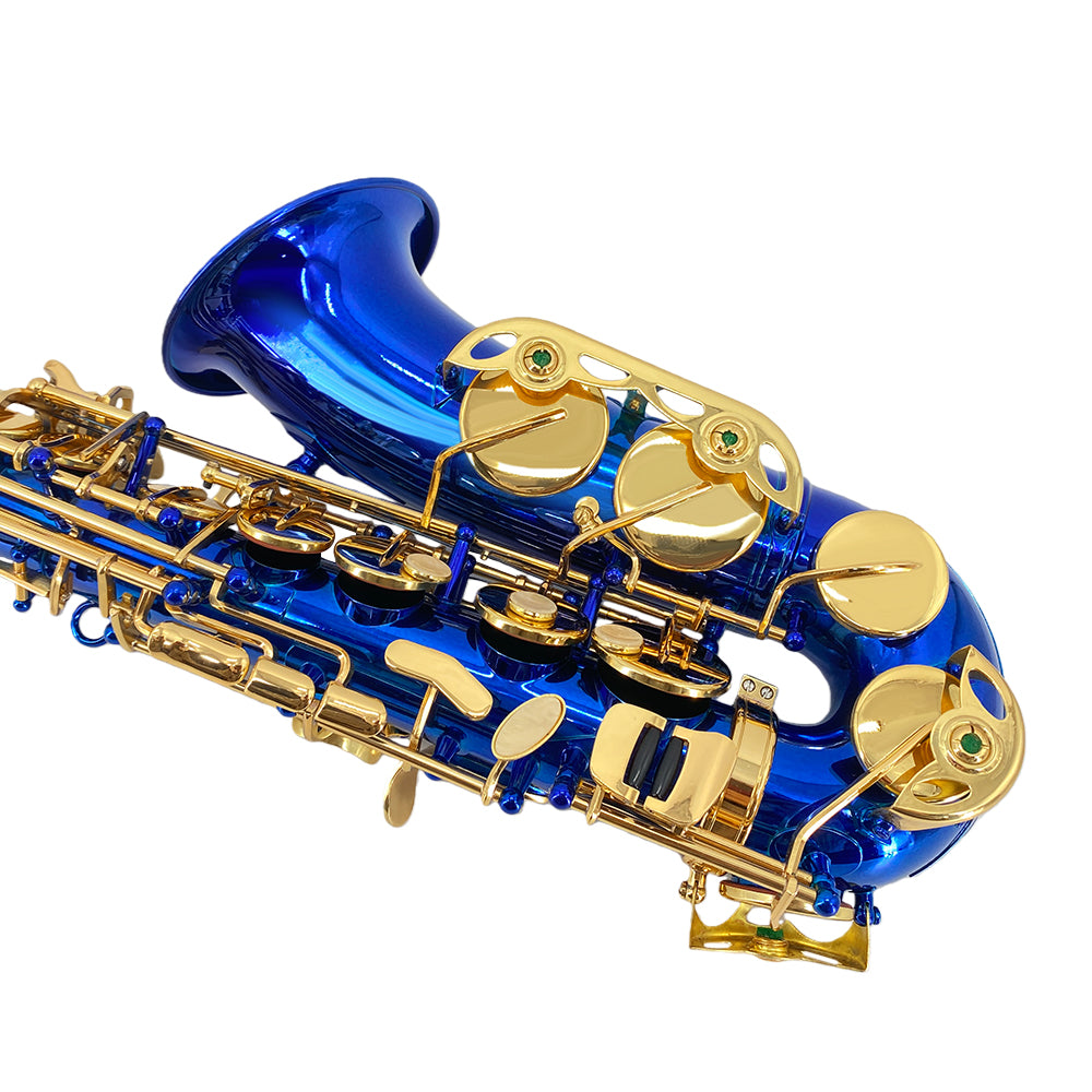 Yinfente Alto Saxophone E Flat Blue Complete Starter Kit Beginner with Case & 10 Reeds, for Adults & Students, Easy to Play for School Band & Practice