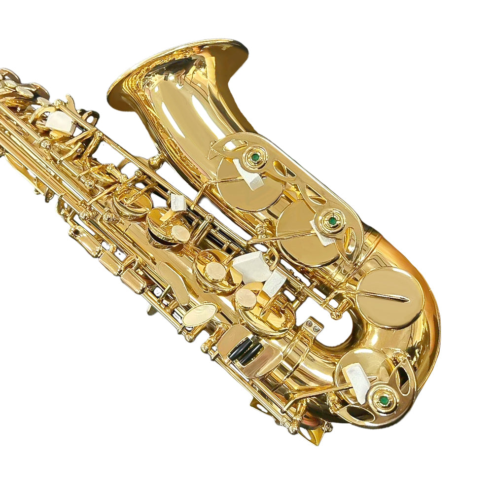 Yinfente Alto Saxophone Beginner Kit for Eb Gold Brass with Case, Reeds, Mouthpiece & Cleaning Kit Professional Sound & Easy to Play