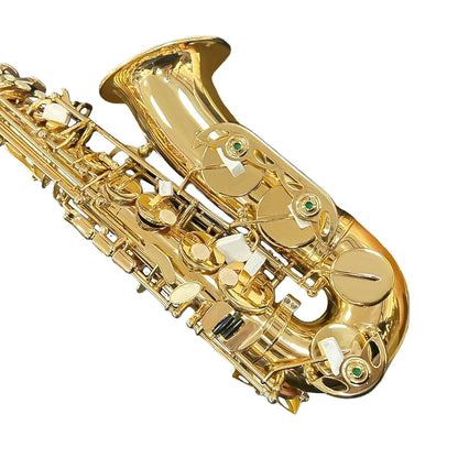 Yinfente Alto Saxophone Beginner Kit for Eb Gold Brass with Case, Reeds, Mouthpiece & Cleaning Kit Professional Sound & Easy to Play