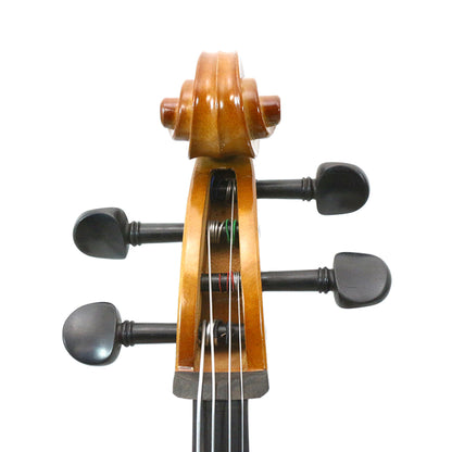 Yinfente 1/2 Size Cello,Beginner,Spruce Top Maple Back and Ebony Fittings Acoustic Cello Kit with Soft Case and Bow,String Musical Instruments for School Orchestras, Adults