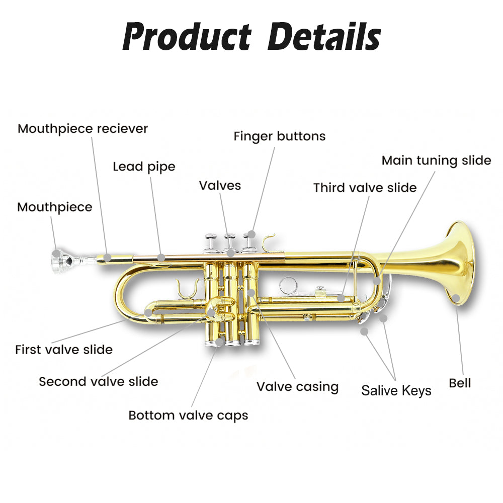 Bb Standard Trumpet Set for Beginner or Advance Student, Brass Student Trumpet Instrument with Hard Case, 7C Mouthpiece, Cleaning Kit,White Gloves Glod