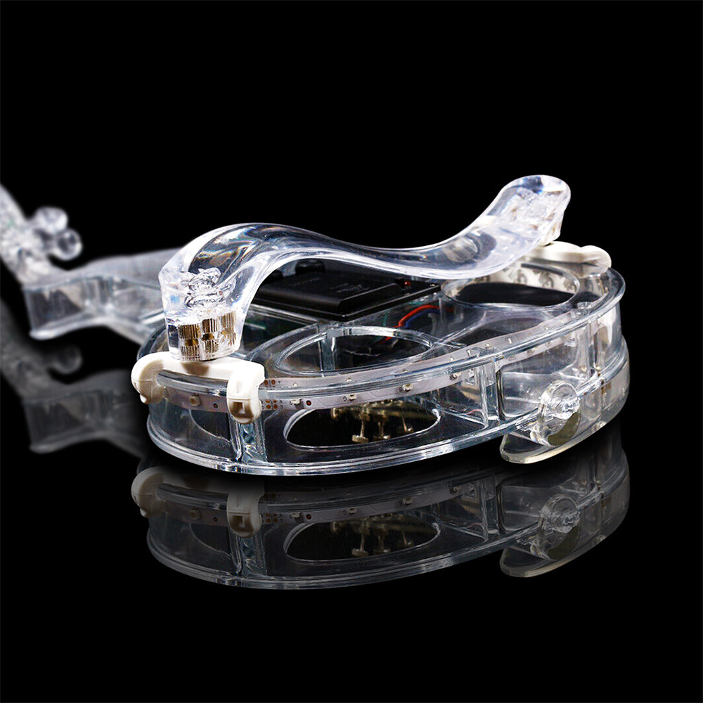 Transparent Violin Acrylic Electric Violin 4/4 Full Size Violin Kit with LED Bow, Chin Rest, Shoulder Rest, Cable and Case #EV6 (EV6)