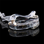 Transparent Violin Acrylic Electric Violin 4/4 Full Size Violin Kit with LED Bow, Chin Rest, Shoulder Rest, Cable and Case #EV6 (EV6)