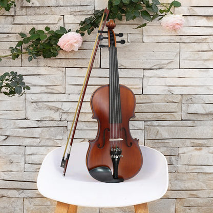 5 String Acoustic Violin 4/4 Kit Maple Back Spruce Top Ebony Fittings Fine Tuner Handmade Violin with Case,Bow (5 String,Brown)