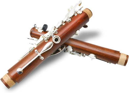 Bb Clarinet for Beginner 17 Key Nickel-Plated Rosewood B Flat Clarinet with 2 Barrels,Hard Case,Cleaning Kit,Mouthpiece,Cork Grease,Gloves，Reeds,Cushion