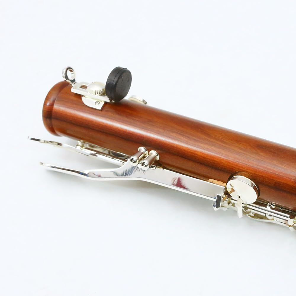 Bb Clarinet for Beginner 17 Key Nickel-Plated Rosewood B Flat Clarinet with 2 Barrels,Hard Case,Cleaning Kit,Mouthpiece,Cork Grease,Gloves，Reeds,Cushion
