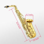 Alto Saxophone Beginner Kit for Adults & Students - Eb Gold Lacquer Full Brass Instrument with Case, Reeds, Mouthpiece & Cleaning Kit - Professional Sound & Easy to Play (Gold)