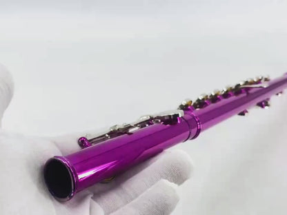 Yinfente 16 Hole C Flute with Gloves, Cleaning Rod, Case, Cleaning Clothe - Nickel Silver Body, Closed Hole, for Student and Beginner